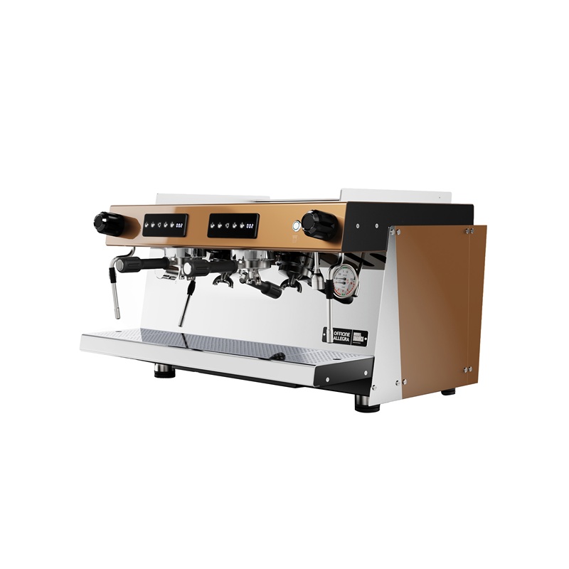 Officine Allegra Dinamica 2G V (Bronze)
